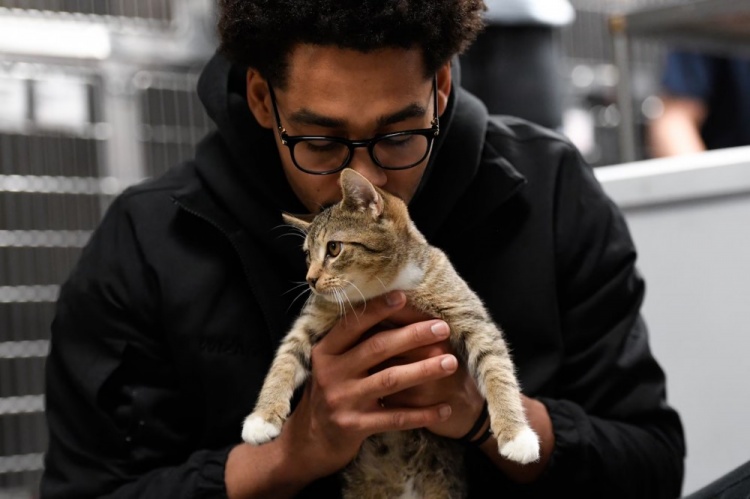 普尔：NBA里养猫的人很多 大菠萝网站在线观看有一个秘密的圈子常私下交流